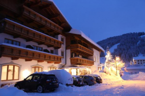  Hotel Frohnatur  Тирзее